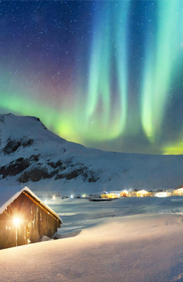 宁静的森林景色